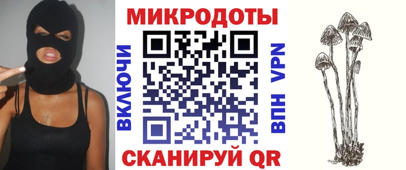 закладки  Ангарск  Галлюциногенные грибы мицелий 